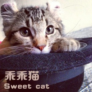 Dengarkan Angella lagu dari 谢文勇 dengan lirik