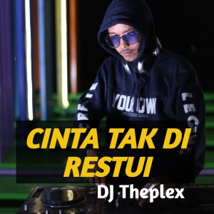 Listen to Cinta Tak Direstui song with lyrics from DJ Theplex