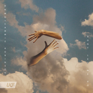 Listen to Don't Let Me Go song with lyrics from DNMO