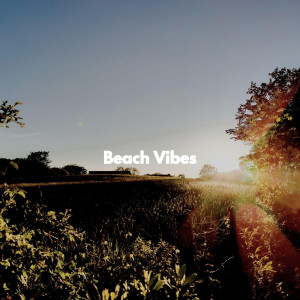 อัลบัม Beach Vibes ศิลปิน Dinner Music