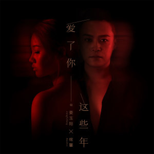 收听姜玉阳的爱了你这些年 (伴奏)歌词歌曲