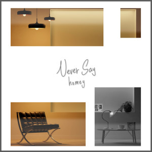 Listen to Never Say song with lyrics from Homey