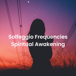 收聽528Hz Whole Body Regeneration的Spiritual Healing Solfeggio歌詞歌曲