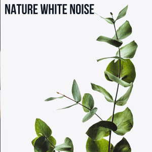 Nature Soundscape的專輯Nature White Noise