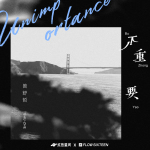 Listen to 不重要 song with lyrics from 曾舒哲