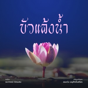 收聽ธนาภรณ์ รัตนเสน的บัวแล้งน้ำ歌詞歌曲