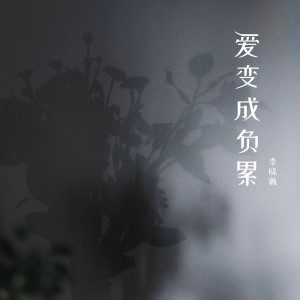 Album 爱变成负累 from 李晓薇