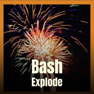 Album Bash Explode from Various