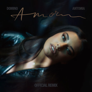 Album Amor (Official Remix) oleh Antonia