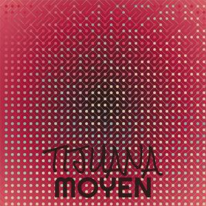 Various Artists的專輯Tijuana Moyen