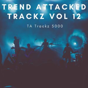 TA Trackz 5000的專輯Trend Attacked Trackz Vol 12