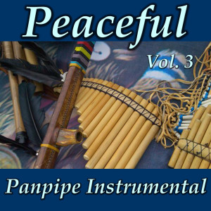 Listen to Romace Anonimo song with lyrics from Wildlife