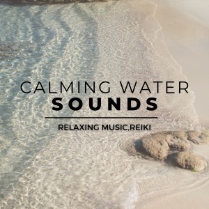 Listen to Tropical Dream song with lyrics from Relaxing Music