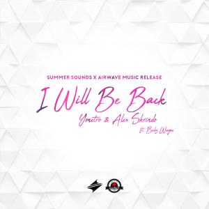 Alex Skrindo的专辑I Will Be Back (feat. Babz Wayne)