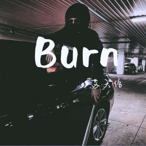 蘇天倫的專輯Burn