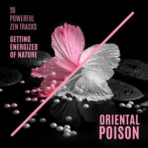20 Powerful Zen Tracks (Getting Energized of Nature, Oriental Poison) dari Mark Siddhi