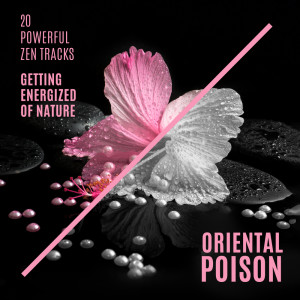 Dengarkan Oriental Music Healing lagu dari Group Star dengan lirik