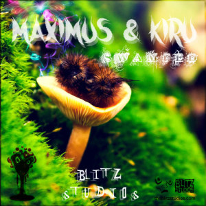 收聽Maximus and Felix的LSD歌詞歌曲