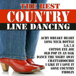 收聽Country Saloon Band的I'm from the Country歌詞歌曲