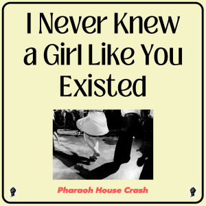 Album I Never Knew a Girl Like You Existed from Pharaoh House Crash