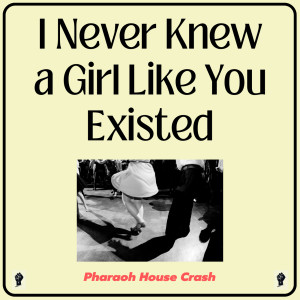 Listen to I Never Knew a Girl Like You Existed song with lyrics from Pharaoh House Crash
