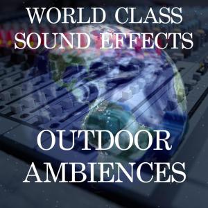 ดาวน์โหลดและฟังเพลง Air Forest Cricket Birds Light Backgrounds Atmosphere Ambience Sound Effects Sound Effect Sounds EFX Sfx FX Natural Ambience Sounds Forest and Jungle พร้อมเนื้อเพลงจาก World Class Sound Effects