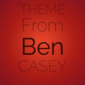 收听Valjean Johns的Theme From Ben Casey歌词歌曲