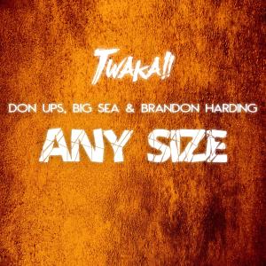 Big Sea的專輯Any Size