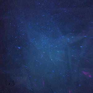 收听[,j的Leucoraja Erinacea, The Little Skate歌词歌曲