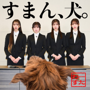 อัลบัม Sorry, Dog. ศิลปิน WA-SUTA