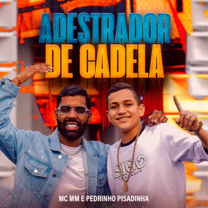 收听Pedrinho Pisadinha的Adestrador De Cadela歌词歌曲