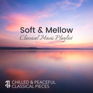 Soft & Mellow Classical Music Playlist: 14 Chilled and Peaceful Classical Pieces