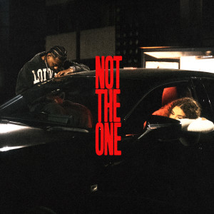 Sahxl的專輯NOT THE ONE (Explicit)