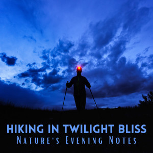 Ambient Nature Sounds的專輯Hiking in Twilight Bliss: Nature's Evening Notes
