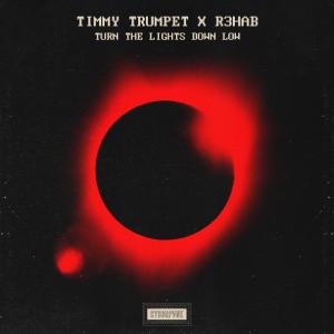 收聽Timmy Trumpet的Turn the Lights Down Low歌詞歌曲