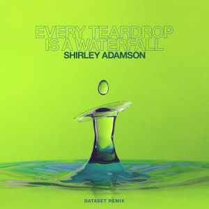 ดาวน์โหลดและฟังเพลง Every Teardrop Is a Waterfall (Dataset Instrumental Remix) พร้อมเนื้อเพลงจาก Shirley Adamson
