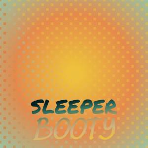 Album Sleeper Booty from Various