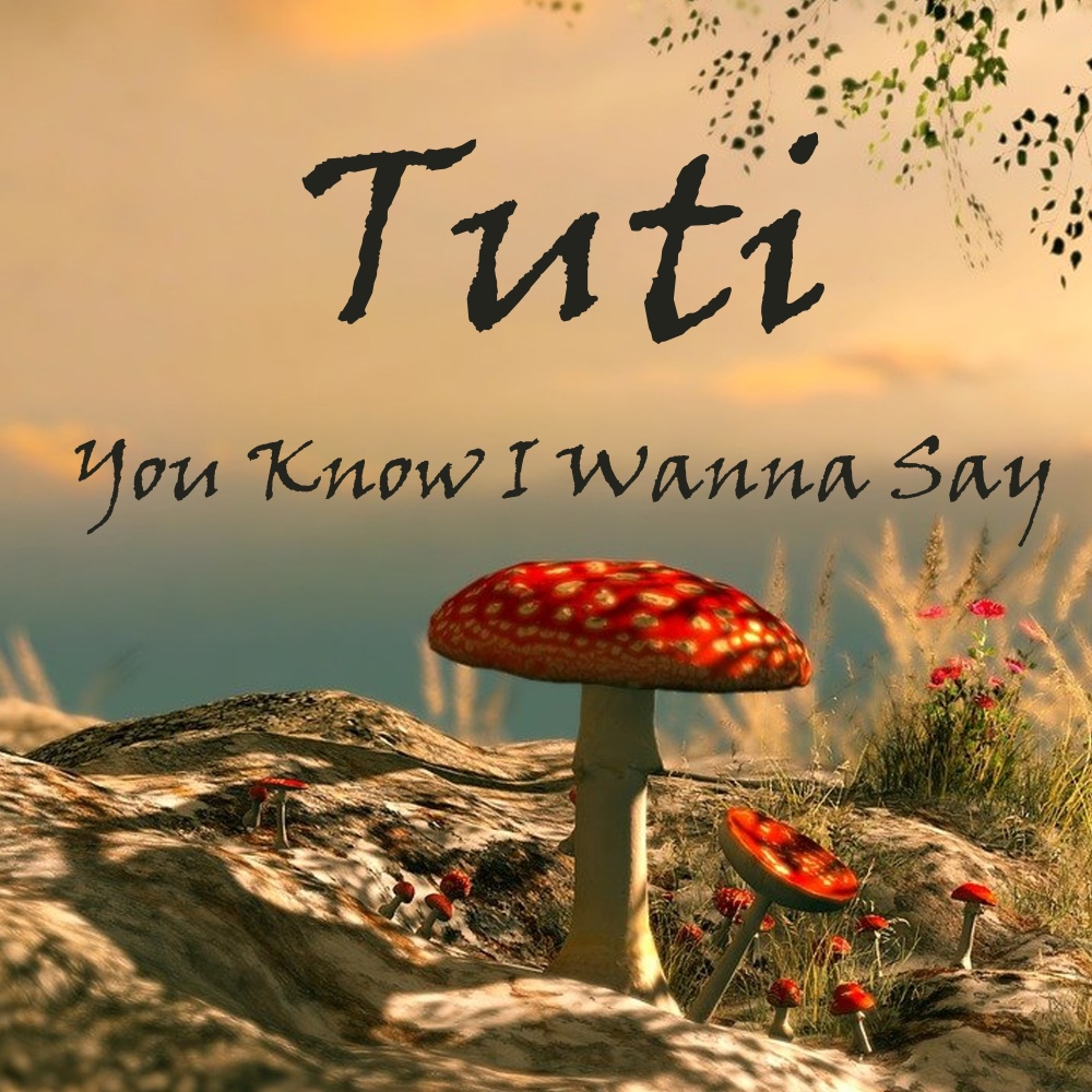 You Know I Wanna Say