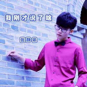 Listen to 我刚才说了啥 (伴奏) song with lyrics from 张静依