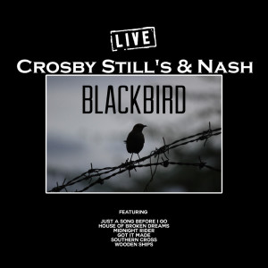 收聽Crosby, Stills & Nash的Blackbird (Live)歌詞歌曲