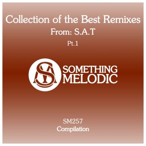 Listen to Let Love Live (S.A.T Sunrise Remix) song with lyrics from Bryan Milton