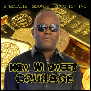 Listen to How Wi Dweet song with lyrics from Courage