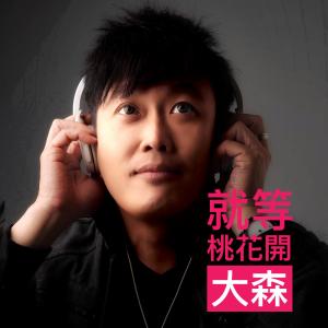 收听廖大森的就等桃花开歌词歌曲