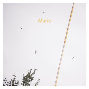 收聽AnnenMayKantereit的Marie (Dach Session)歌詞歌曲