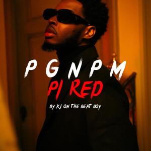 Album Instrumental Pgnpm Pi Red from KJ On The Beat Boy