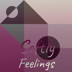 Album Softly Feelings from Various