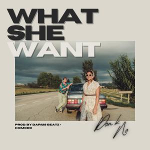 收聽Don K No的What She Want (feat. Chilli Hendrix & Darius Beatz) (Explicit)歌詞歌曲