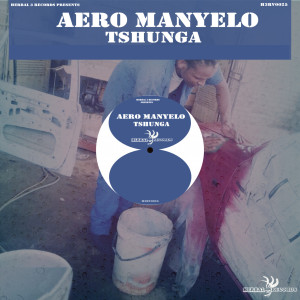 Listen to Tshunga (Dub Mix) song with lyrics from Aero Manyelo