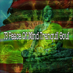 Album 73 Peace of Mind Tranquil Soul oleh Yoga Workout Music