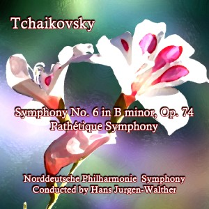 Norddeutsche Philharmonie Symphony的專輯Tchaikovsky Symphony No. 6 in B Minor, Op. 74